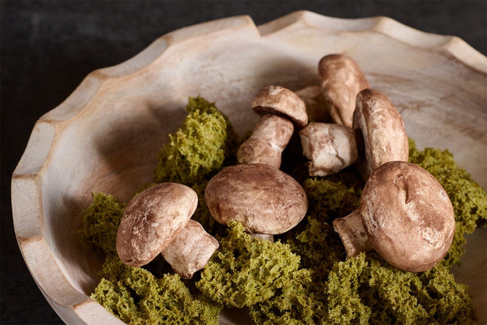 Swiss Meringue faux mushrooms in a bowl of macha moss made from cake.