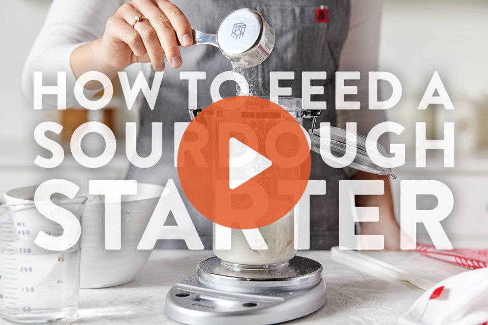 How to Feed Sourdough Starter