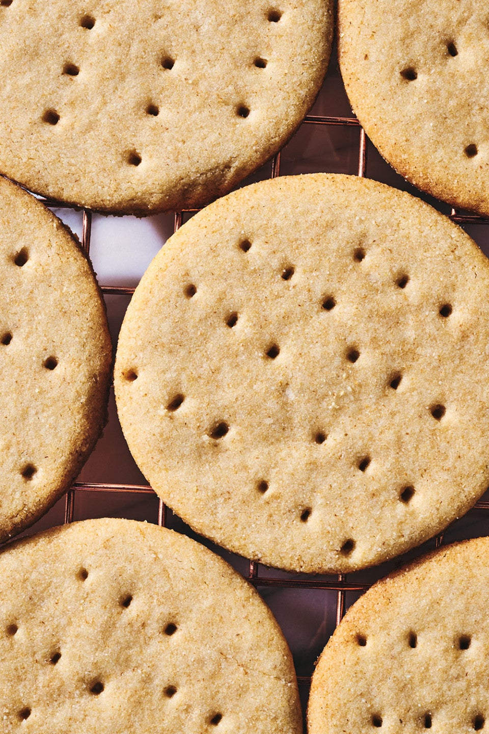 Digestive Tea Biscuits on a cooling rack