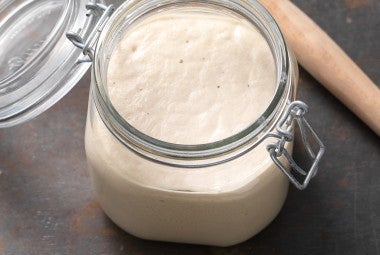 Gluten-Free Sourdough Starter