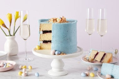 Robin Egg Cake