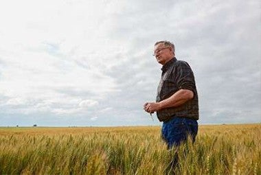 Sustainable Baking Guide