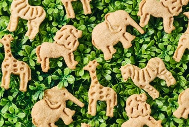 Assorted Animal Cookies in a jungle-like environment