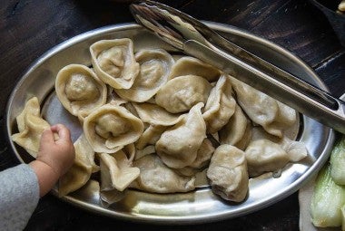 Tofu and Mushroom Dumplings