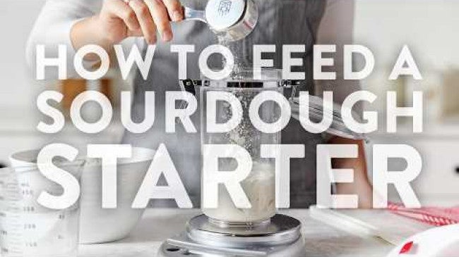 Click to open a video entitled How to Feed a Sourdough Starter